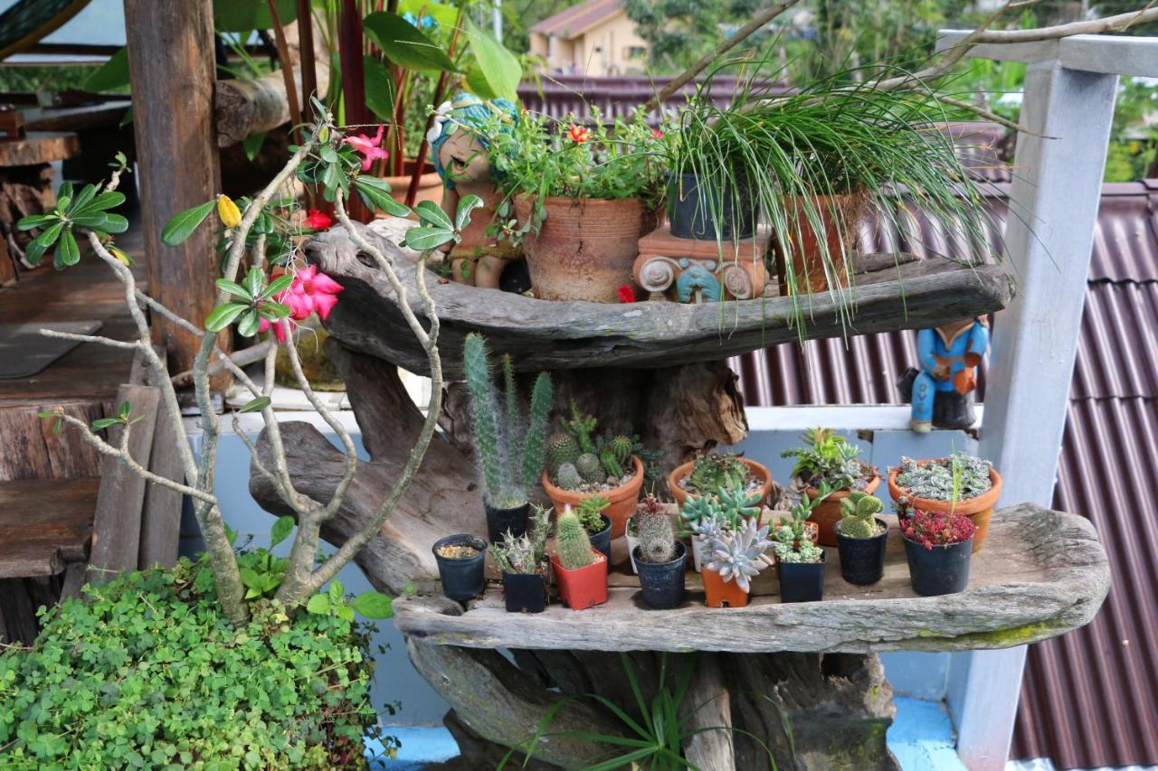 Up2u Hostal Pai